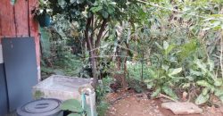 Colonia Paraíso / 224 m2 / Terreno en Venta (2202-559)