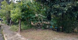 Colonia Paraíso / 224 m2 / Terreno en Venta (2202-559)