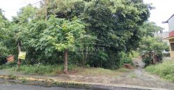 Colonia Paraíso / 224 m2 / Terreno en Venta (2202-559)