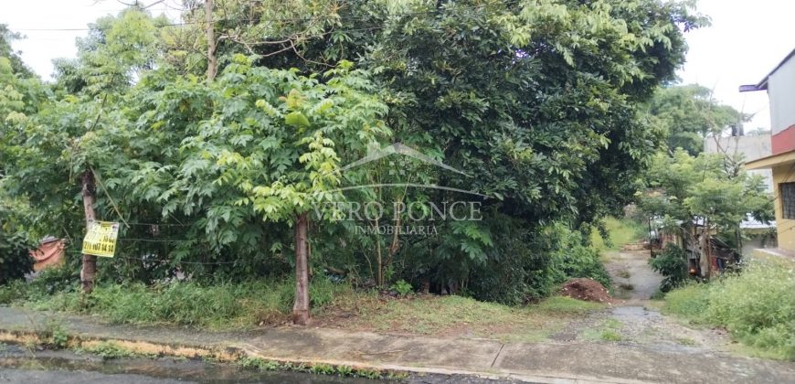 Colonia Paraíso / 224 m2 / Terreno en Venta (2202-559)