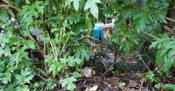 Colonia Paraíso / 224 m2 / Terreno en Venta (2202-559)