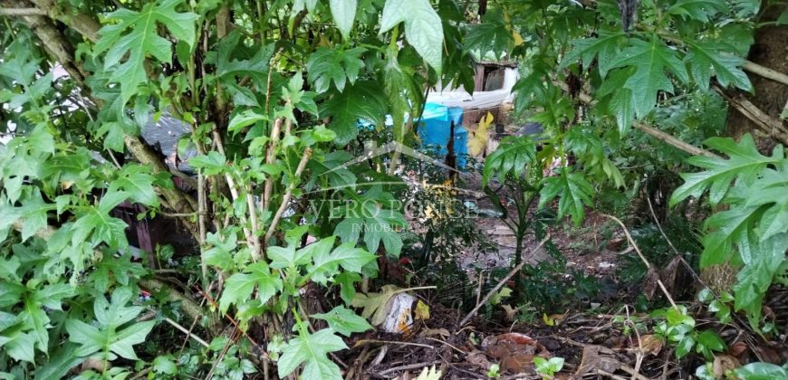 Colonia Paraíso / 224 m2 / Terreno en Venta (2202-559)