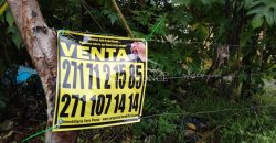 Colonia Paraíso / 224 m2 / Terreno en Venta (2202-559)