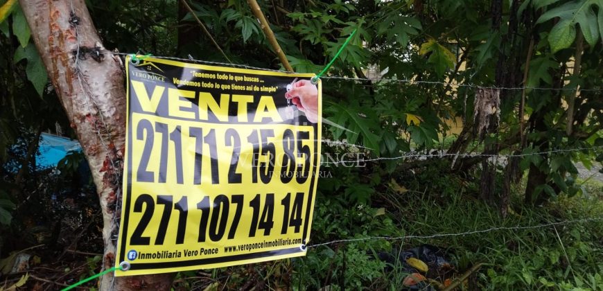 Colonia Paraíso / 224 m2 / Terreno en Venta (2202-559)