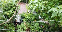 Colonia Paraíso / 224 m2 / Terreno en Venta (2202-559)