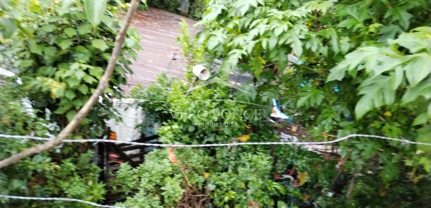 Colonia Paraíso / 224 m2 / Terreno en Venta (2202-559)