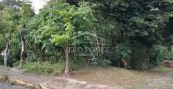 Colonia Paraíso / 224 m2 / Terreno en Venta (2202-559)