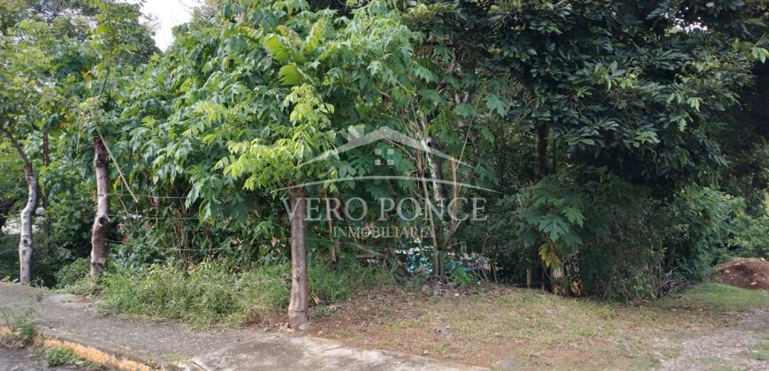 Colonia Paraíso / 224 m2 / Terreno en Venta (2202-559)