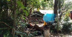 Colonia Paraíso / 224 m2 / Terreno en Venta (2202-559)