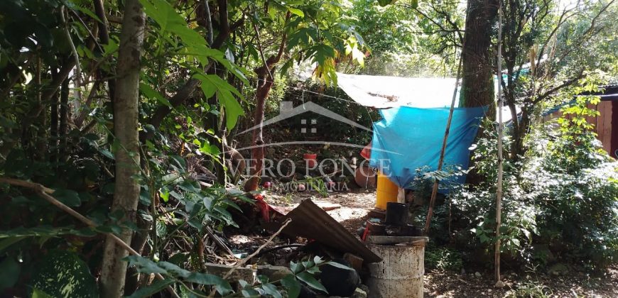 Colonia Paraíso / 224 m2 / Terreno en Venta (2202-559)