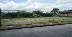 (Rentado) Tranca de Tubos / 900 m2 / Terreno en Renta (2201-580)