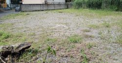 (Rentado) Tranca de Tubos / 900 m2 / Terreno en Renta (2201-580)