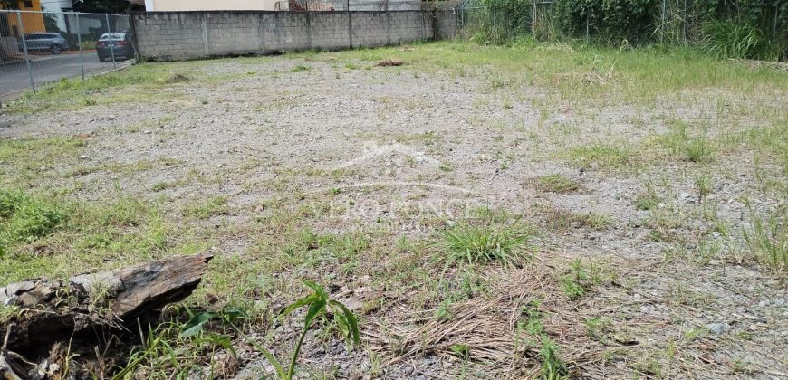 (Rentado) Tranca de Tubos / 900 m2 / Terreno en Renta (2201-580)