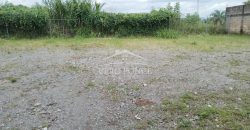 (Rentado) Tranca de Tubos / 900 m2 / Terreno en Renta (2201-580)