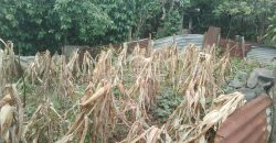 20 de Noviembre / 157.50 m2 / Terreno en Venta (2201-582)