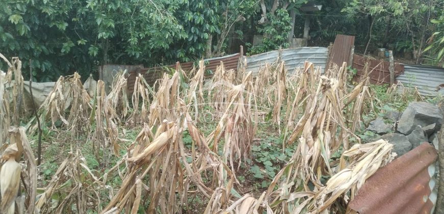 20 de Noviembre / 157.50 m2 / Terreno en Venta (2201-582)