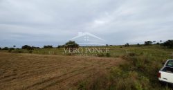 El Guayabo, Veracruz / 114 ha / Terreno en Venta (2201-588)