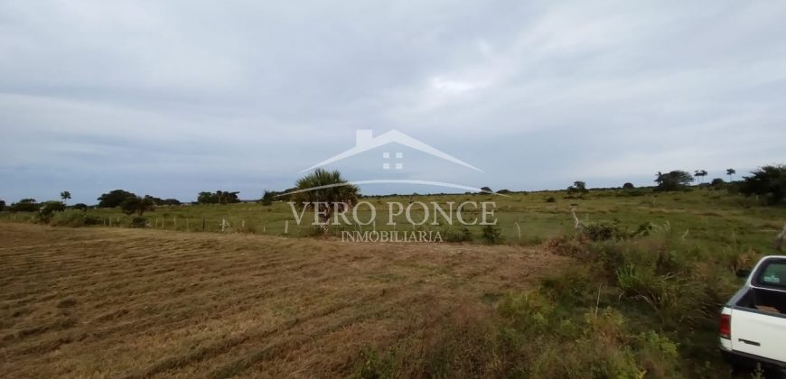 El Guayabo, Veracruz / 114 ha / Terreno en Venta (2201-588)