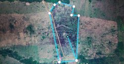 El Guayabo, Veracruz / 114 ha / Terreno en Venta (2201-588)