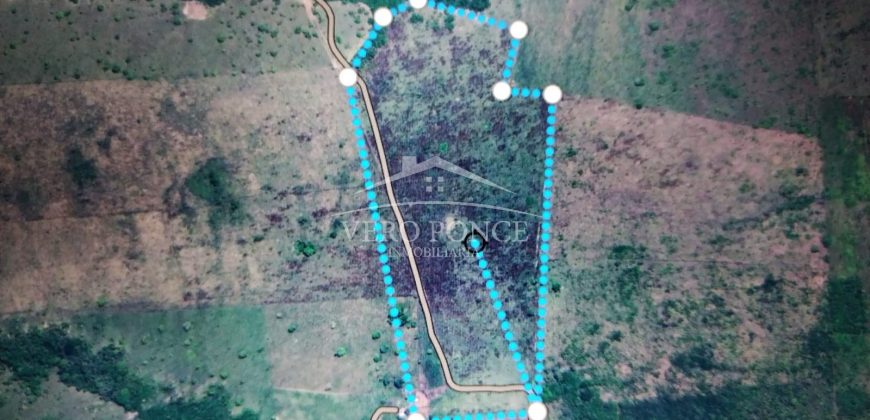 El Guayabo, Veracruz / 114 ha / Terreno en Venta (2201-588)