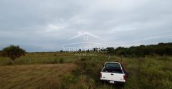 El Guayabo, Veracruz / 114 ha / Terreno en Venta (2201-588)