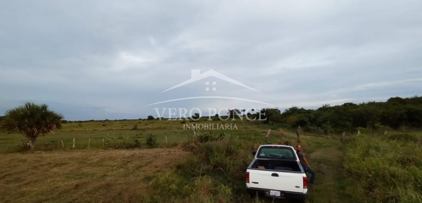 El Guayabo, Veracruz / 114 ha / Terreno en Venta (2201-588)