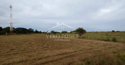 El Guayabo, Veracruz / 114 ha / Terreno en Venta (2201-588)
