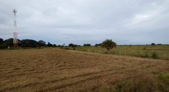 El Guayabo, Veracruz / 114 ha / Terreno en Venta (2201-588) El Guayabo, Veracruz / 114 ha / Terreno en Venta (2201-588)