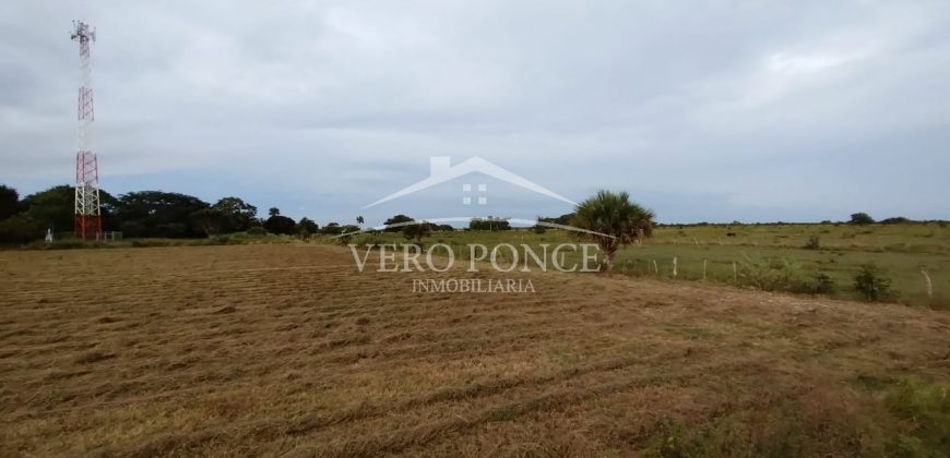 El Guayabo, Veracruz / 114 ha / Terreno en Venta (2201-588)