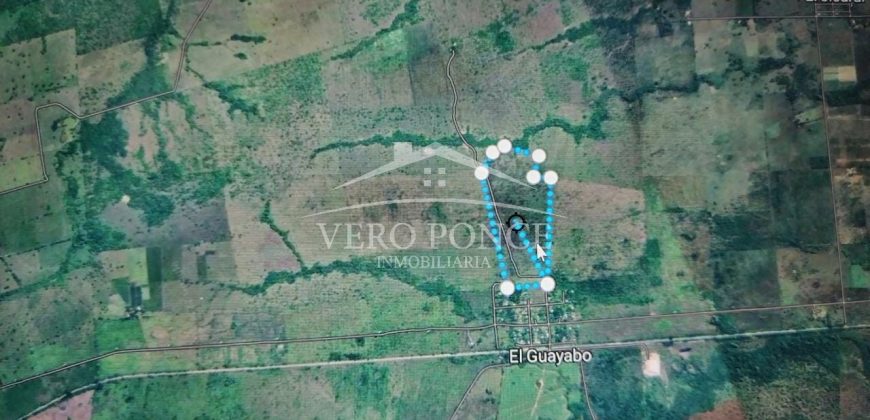 El Guayabo, Veracruz / 114 ha / Terreno en Venta (2201-588)