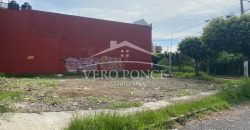 (Rentado) San Dimas / 200 m2 / Terreno en Renta (2213-591)