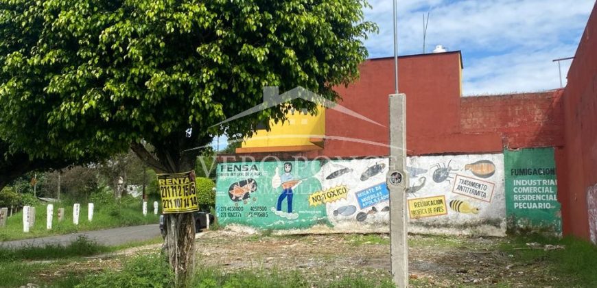 (Rentado) San Dimas / 200 m2 / Terreno en Renta (2213-591)