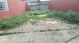 Fraccionamiento Jazmín / 126 m2 / Terreno en Venta (2201-607) Fraccionamiento Jazmín / 126 m2 / Terreno en Venta (2201-607)