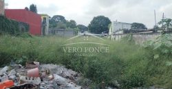 Fraccionamiento Jazmín / 690 m2 / Terreno en Venta (2201-608)
