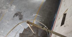 (Rentado) Zona Industrial / 975 m2 / Local en Renta (2210-623)