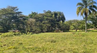 Fortín, Veracruz / 2065 m2 / Terreno en Venta (2317-651) Fortín, Veracruz / 2065 m2 / Terreno en Venta (2317-651)