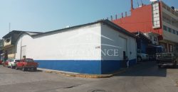 (Rentada) Centro / Bodega en Renta (2316-655)