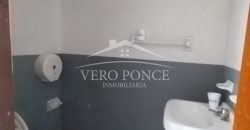 (Rentado) Calle 6 / Local en Renta (2310-707)