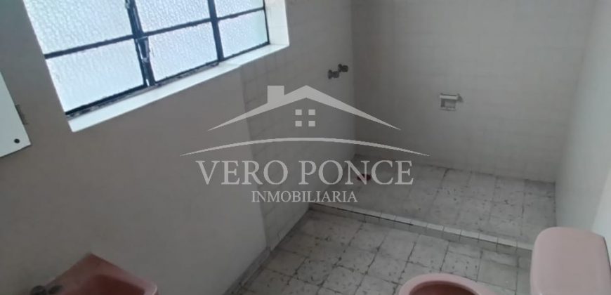 (Rentado) Calle 6 / Local en Renta (2310-707)