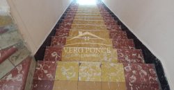 (Rentado) Calle 8 / Departamento en Renta (2201-113)