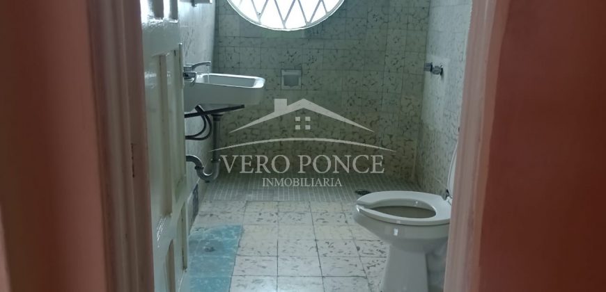 (Rentado) Calle 8 / Departamento en Renta (2201-113)