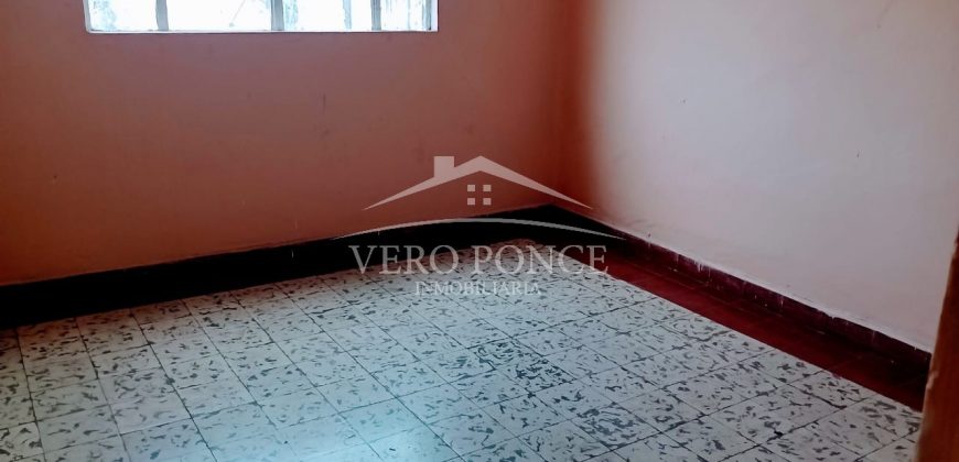 (Rentado) Calle 8 / Departamento en Renta (2201-113)