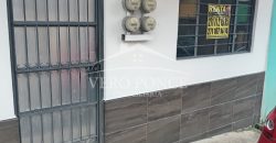 (Rentado) Calle 10 Avenida 2 / Departamento en Renta (2201-116)