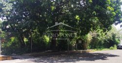 20 de noviembre / 700 m2 / Terreno en Venta (2310-762)