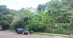 20 de noviembre / 700 m2 / Terreno en Venta (2310-762)