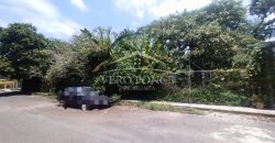 20 de noviembre / 700 m2 / Terreno en Venta (2310-762)