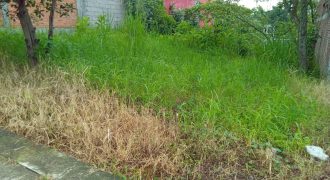 Fraccionamiento Longinos / 247.72 m2 / Terreno en Venta (2301-777) Fraccionamiento Longinos / 247.72 m2 / Terreno en Venta (2301-777)