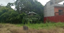 Fraccionamiento Longinos / 205.55 m2 / Terreno en Venta (2301-778)