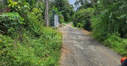 Guadalupe Barreal / 366.75 m2 / Terreno en Venta (2302-792)