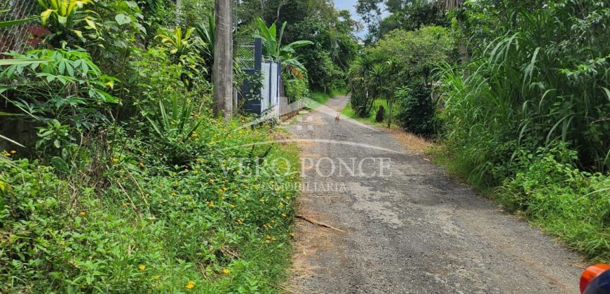 Guadalupe Barreal / 366.75 m2 / Terreno en Venta (2302-792)